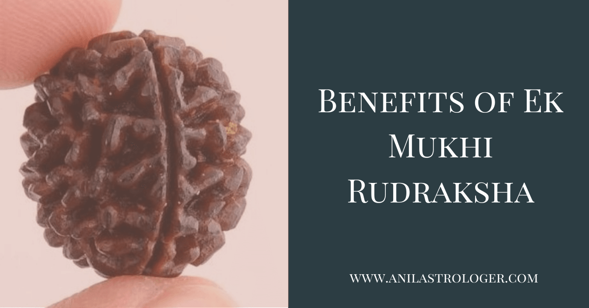 Benefits of Ek Mukhi Rudraksha