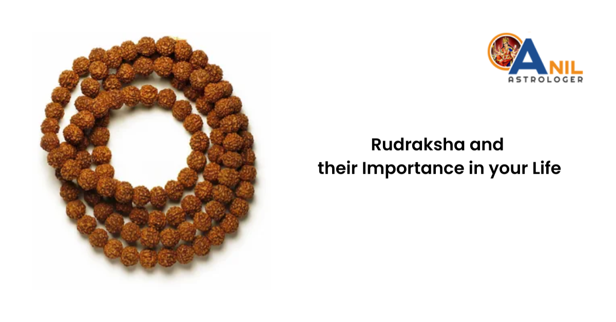 Rudraksha and their Importance in your Life